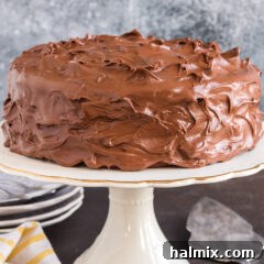 Close up photo of Nigella's Chocolate Fudge Cake on a cake stand