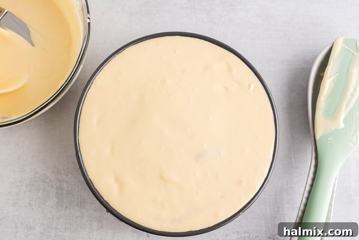 Regal Trifle Cheesecake 11 Cheesecake in a springform pan, filled to the brim with batter