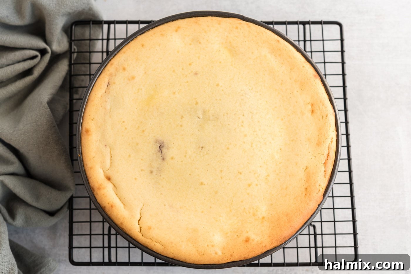 Regal Trifle Cheesecake 12 English trifle cheesecake after baking and cooling in the pan