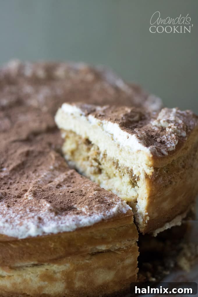 Full Tiramisu Cheesecake with chocolate dusting ready to be sliced