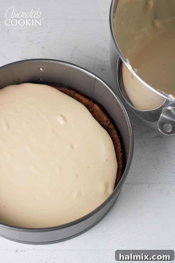 How to make Tiramisu Cheesecake: Layering mixture over the first cake layer