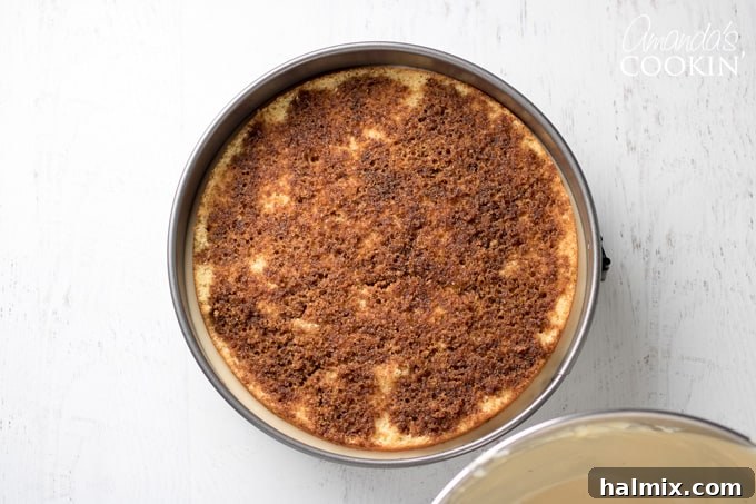 How to make Tiramisu Cheesecake: Placing the second cake layer on top