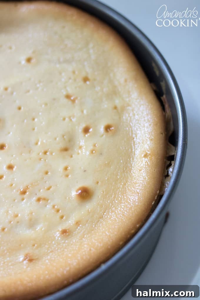 How to make Tiramisu Cheesecake: Cooling the cheesecake on a wire rack