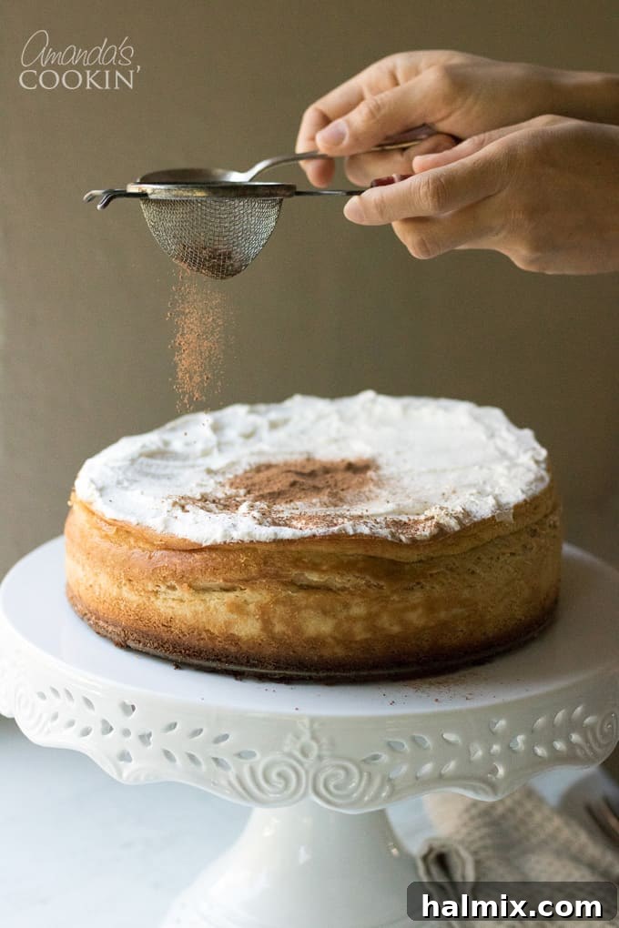 Close-up of Tiramisu Cheesecake with cocoa dusting
