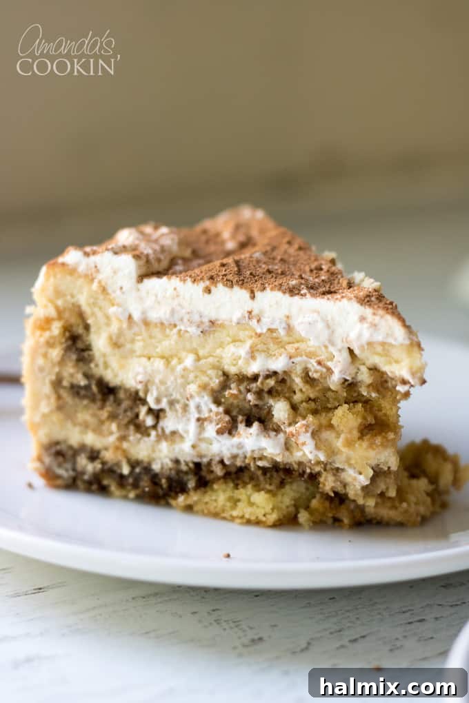 A perfectly sliced Tiramisu Cheesecake on a white plate, showcasing its layers