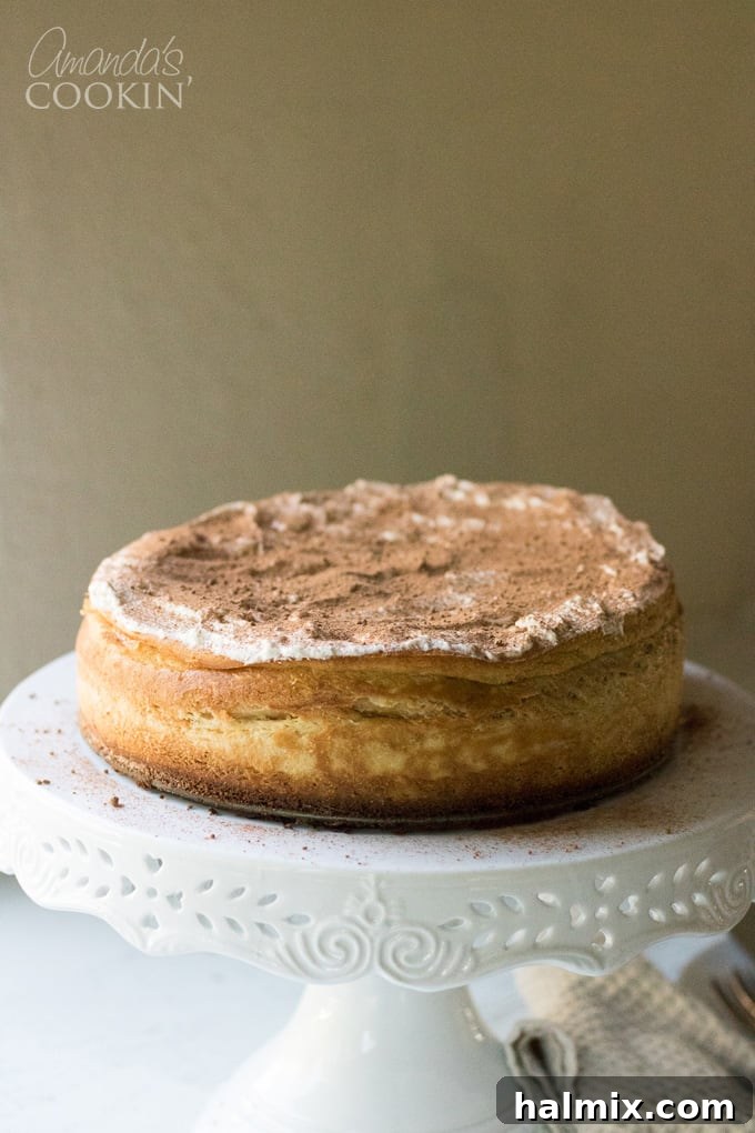 Fully prepared Tiramisu Cheesecake ready for serving