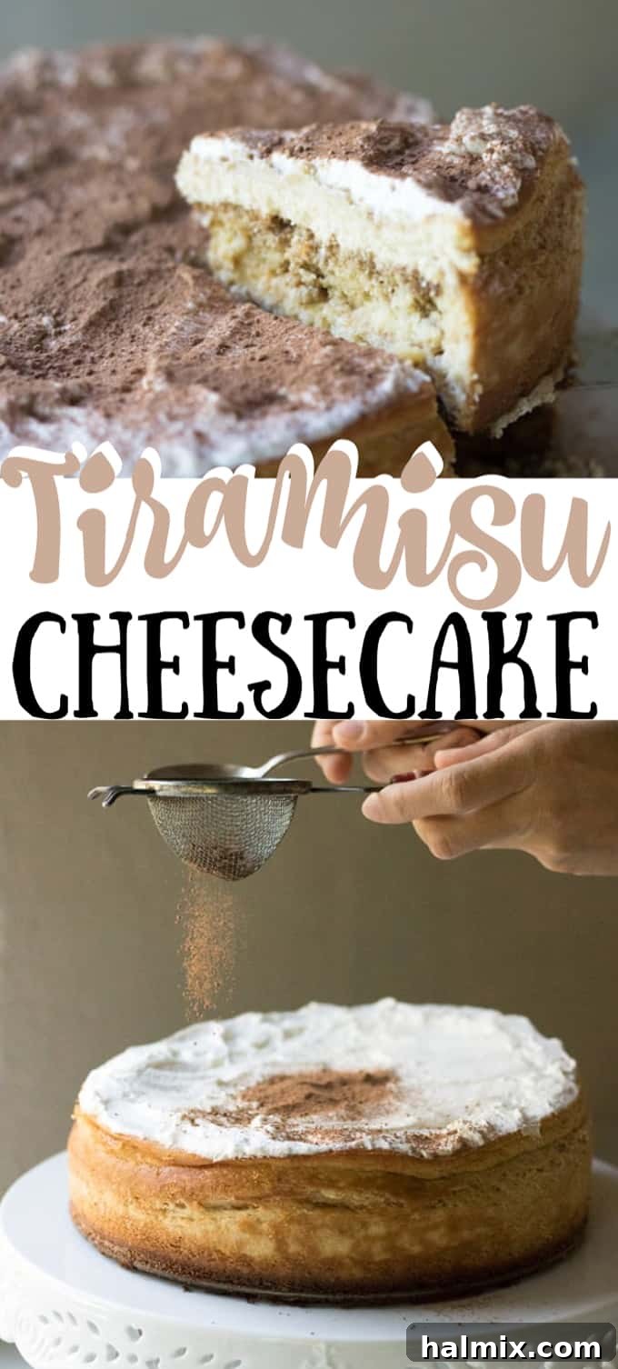 Stunning Tiramisu Cheesecake with chocolate shavings and whipped cream, perfect for holidays