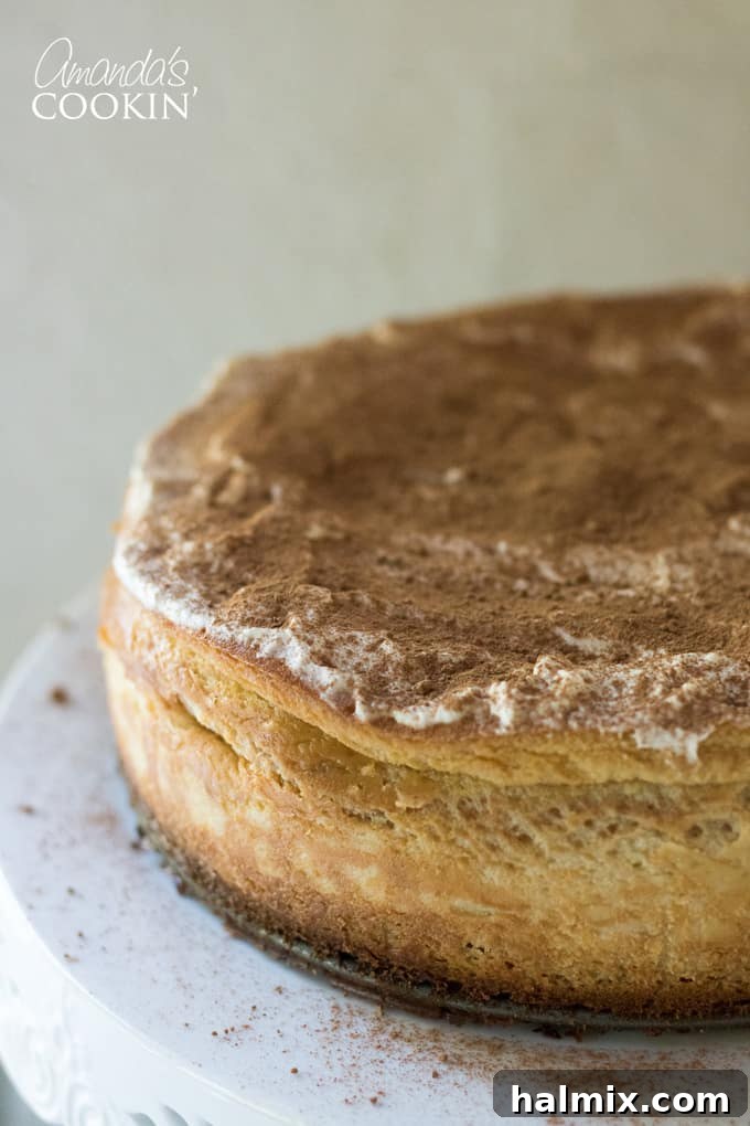 Whole Tiramisu Cheesecake on a stand, garnished with cocoa powder