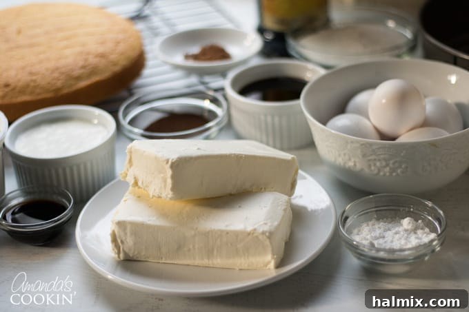 All ingredients for Tiramisu Cheesecake laid out on a kitchen counter