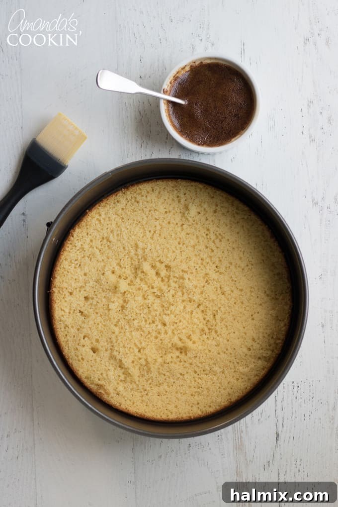 How to make Tiramisu Cheesecake: Baking the cake layers