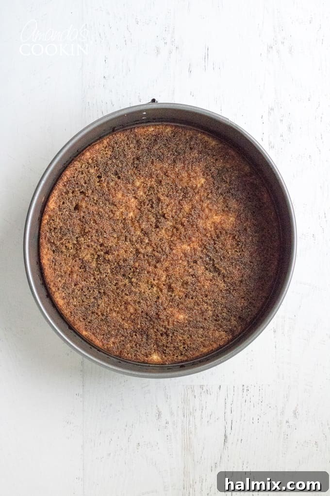 How to make Tiramisu Cheesecake: Brushing espresso onto the cake layer