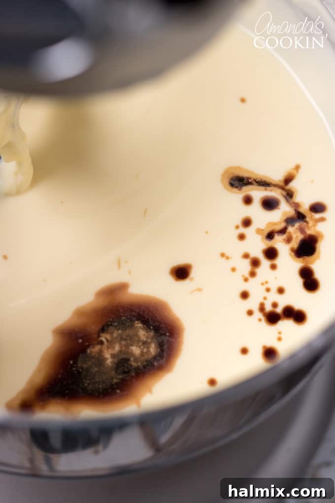How to make Tiramisu Cheesecake: Adding vanilla to the mixture