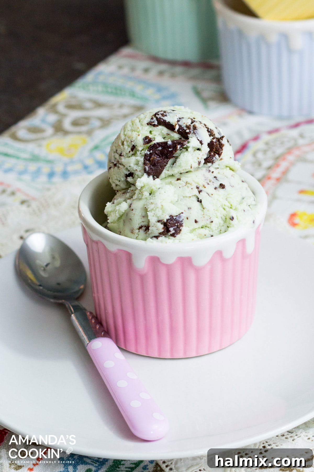 Crafted Mint Chocolate Chip Indulgence 3 A vibrant bowl of homemade mint chocolate chip ice cream, showcasing its creamy green texture and generous dark chocolate shards, ready to be enjoyed.