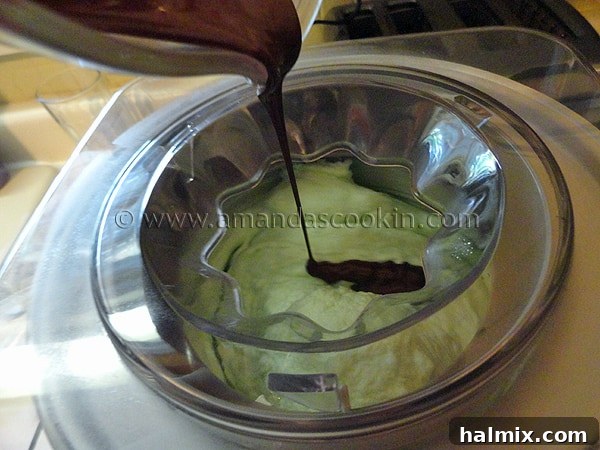 Homemade Mint Chocolate Chip Ice Cream Homemade Mint Chocolate Chip Ice Cream churning in an ice cream machine, showing the creamy texture and small chocolate pieces forming.