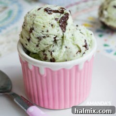 Crafted Mint Chocolate Chip Indulgence 5 bowl of ice cream