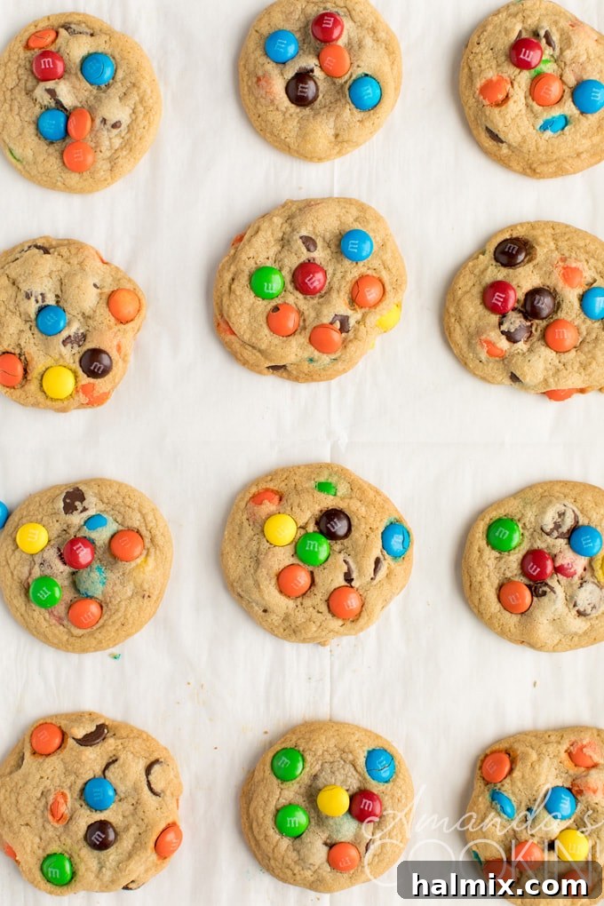 Freshly baked M&M cookies cooling on a tray. A tray of freshly baked, warm M&M cookies, ready for cooling and enjoying.