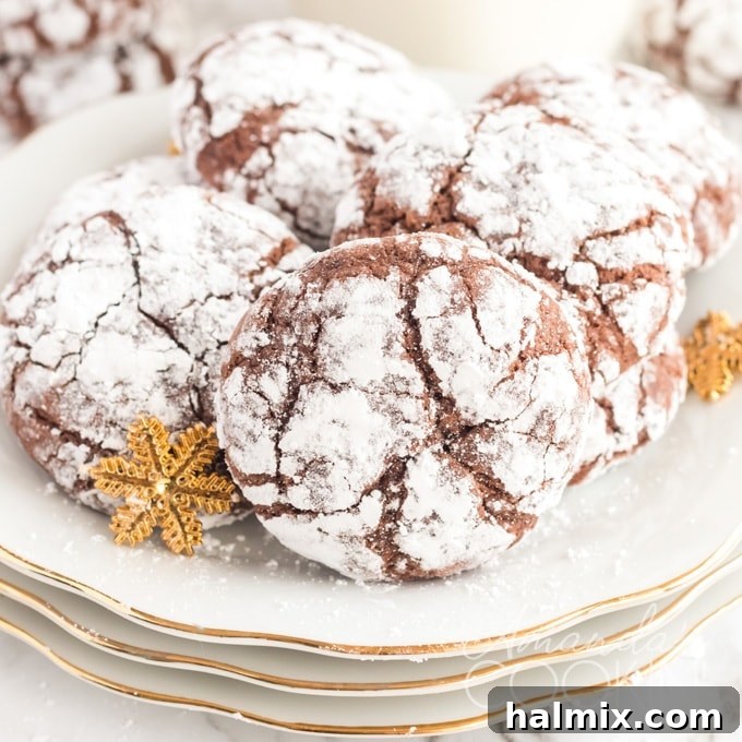 chocolate snow cookies