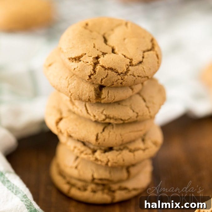 stack of gingersnap cookies