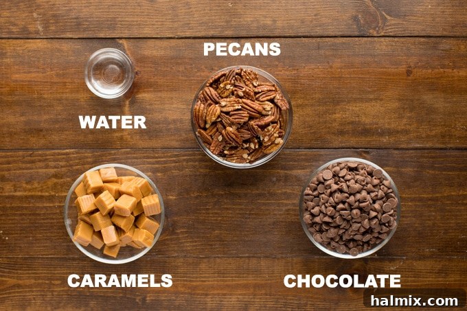 All the simple ingredients for chocolate turtle candies laid out: pecans, unwrapped caramels, water, and chocolate chips.