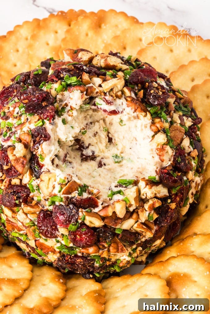 This Cranberry Cheese Ball is an easy, festive addition to your holiday table, featuring cream cheese, shredded cheeses, pecans, dried cranberries, and tasty seasonings. A beautifully garnished cranberry cheese ball, ready for serving.
