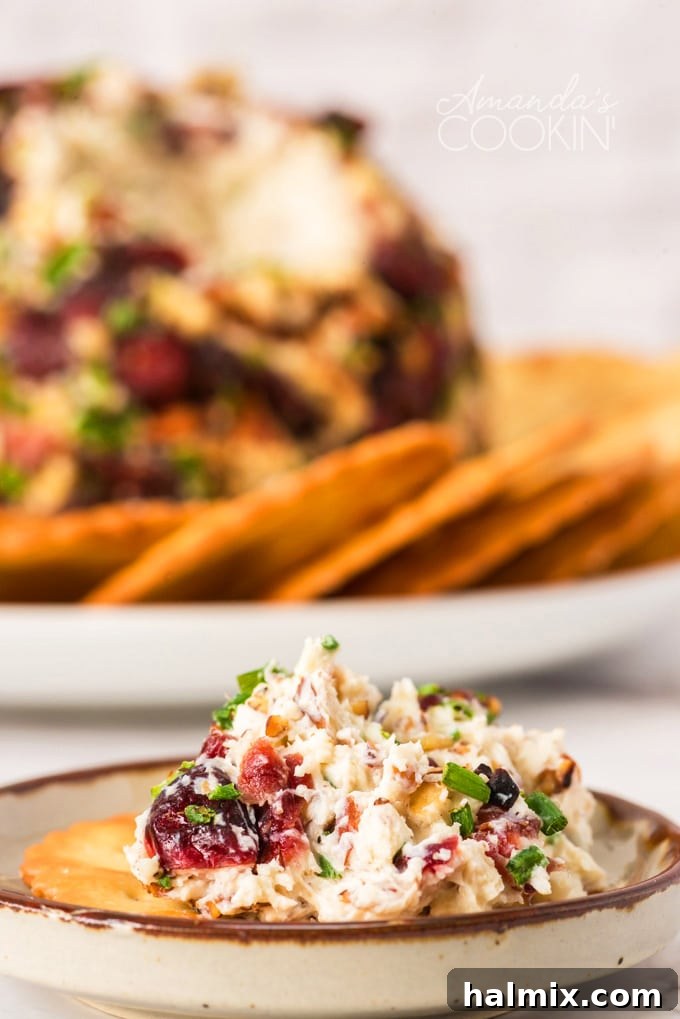 Enjoying the creamy, flavorful cheese mixture with cranberries, pecans, and seasonings on a crisp cracker. A close-up shot of the creamy cheese mixture spread on a cracker, showing the cranberries and pecans.