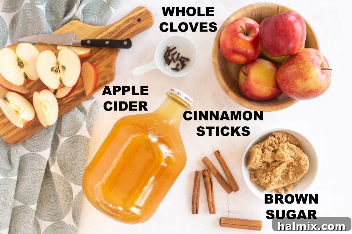 A flat lay photograph showcasing the labeled ingredients for hot apple cider: a jug of apple cider, brown sugar, cinnamon sticks, and whole cloves, arranged neatly on a wooden surface.