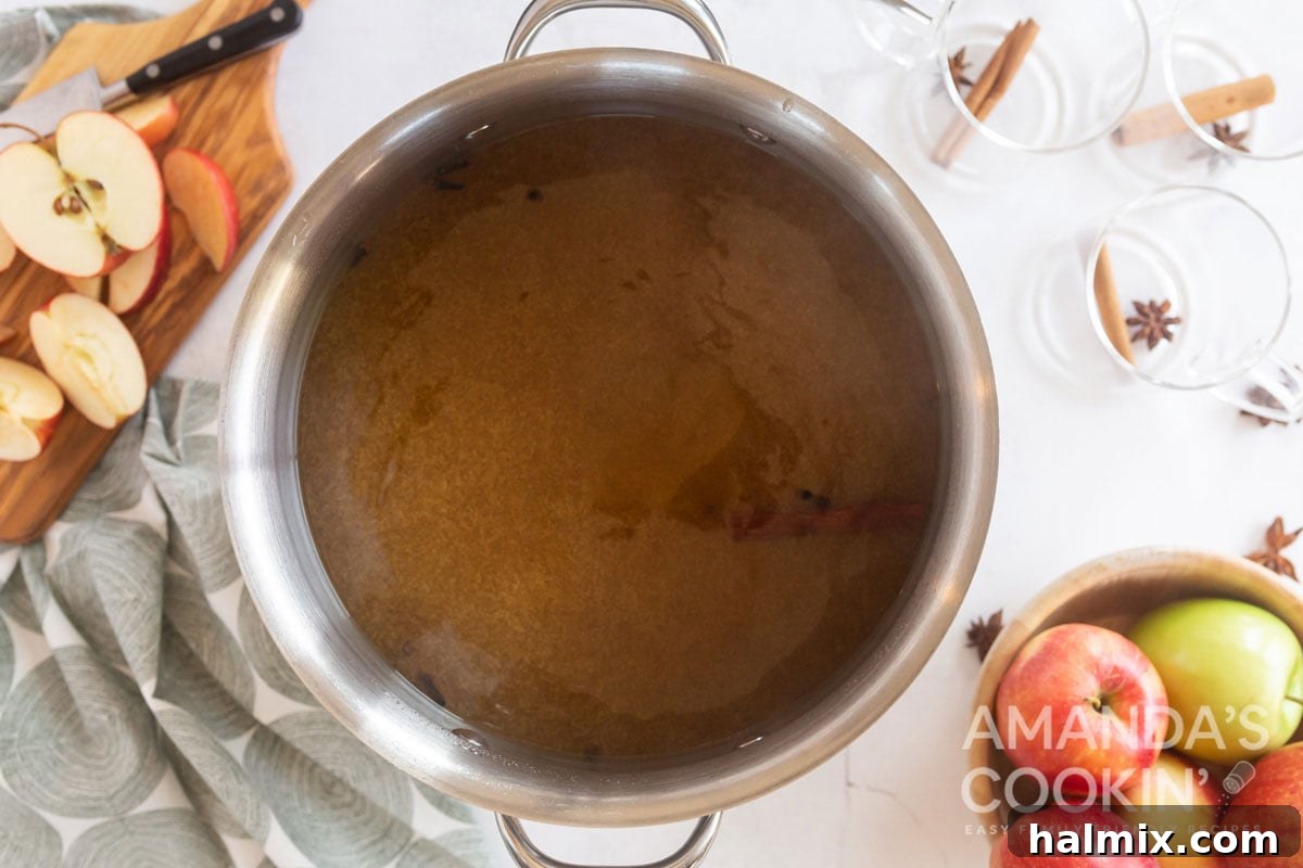 A stockpot on a stovetop, filled with apple cider, brown sugar, cinnamon sticks, and whole cloves, simmering gently.