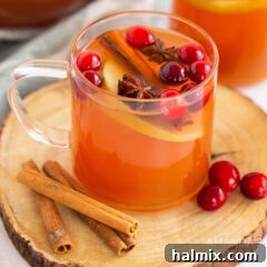 glass mug of hot apple cider