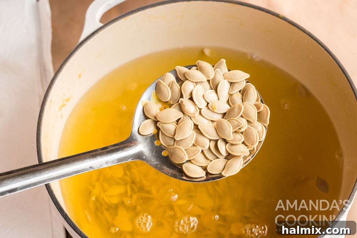 A ladle filled with pumpkin seeds, freshly drained and ready for drying.