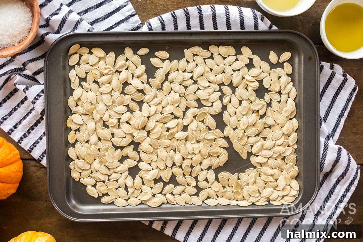 Pumpkin seeds spread evenly on a baking sheet, visibly dried overnight and ready for roasting.