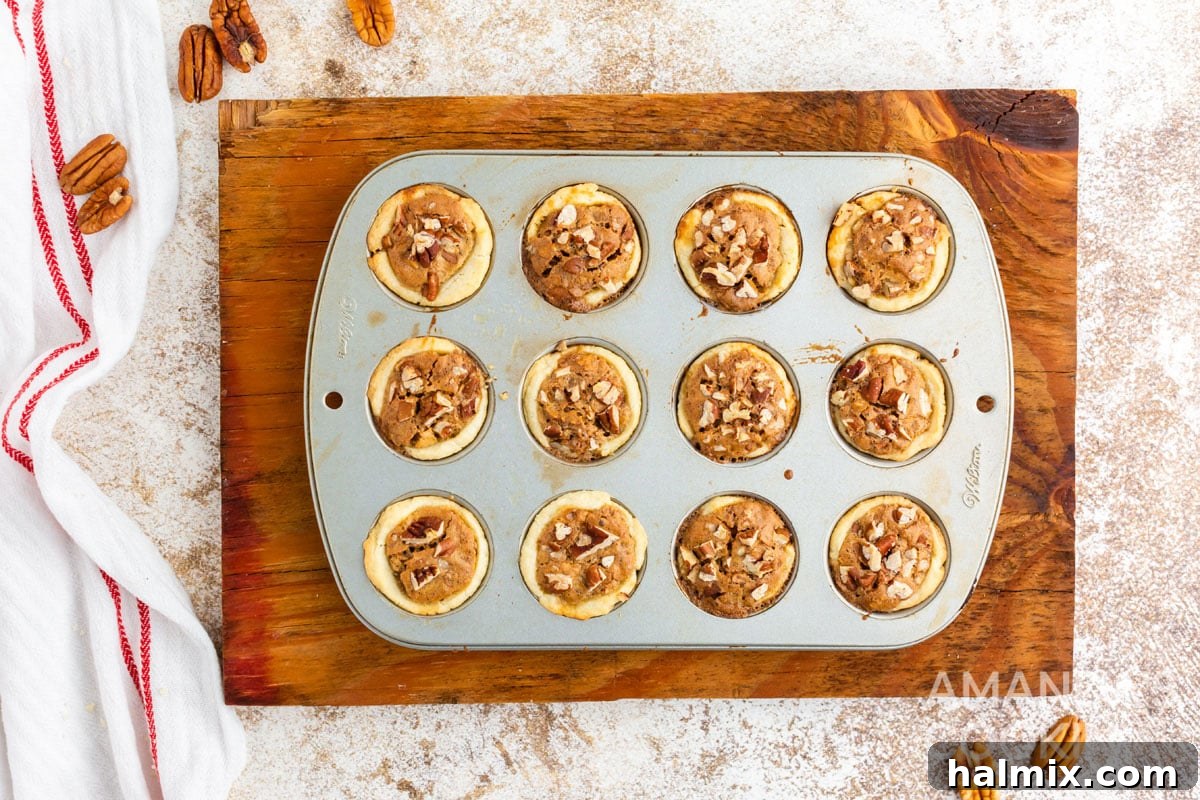 Baked pecan tassies cooling in a mini muffin tin, showing their golden crusts and set fillings.
