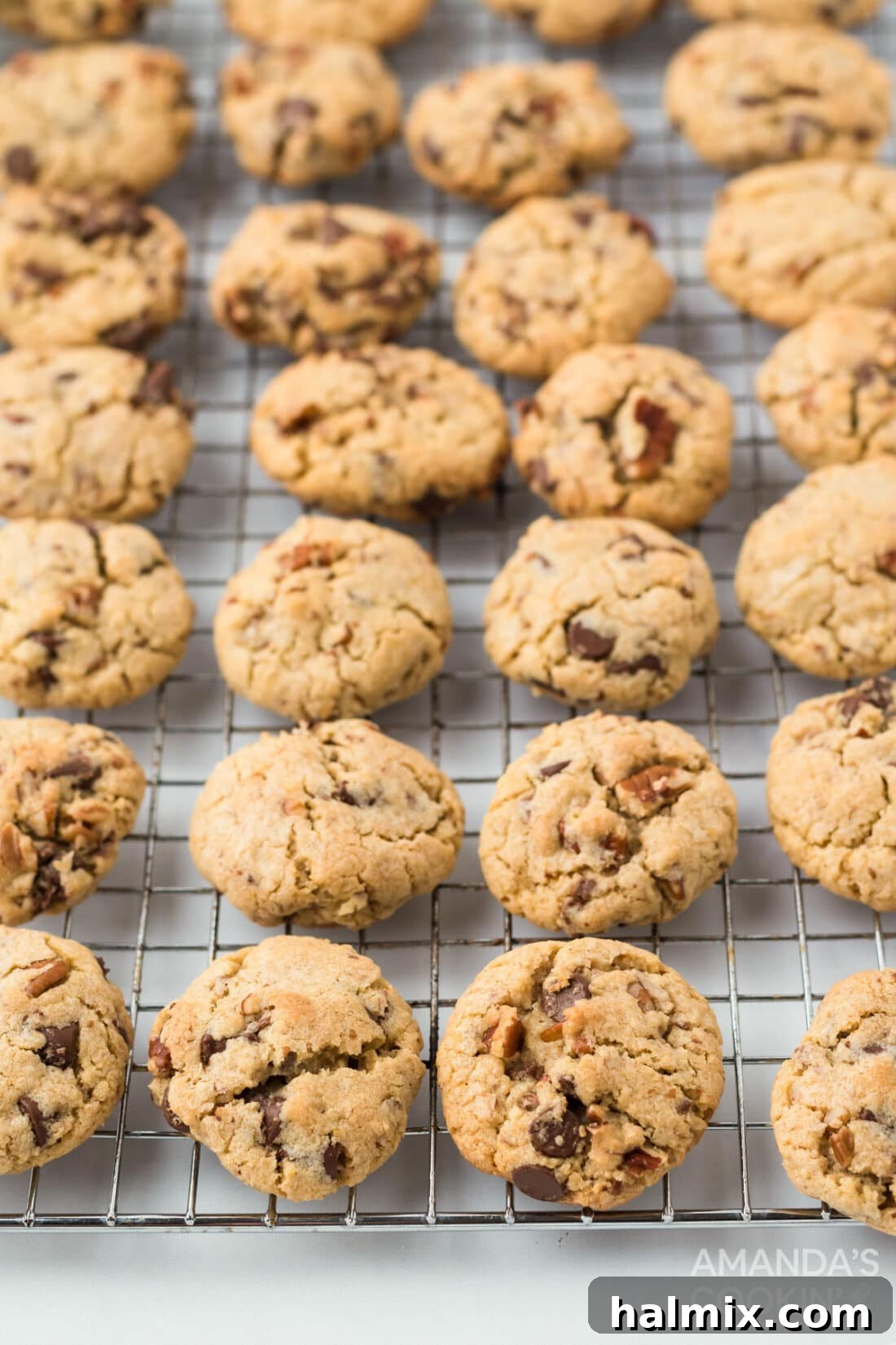 Freshly baked Neiman Marcus cookies cooling on a wire rack, glistening with chocolate chips and nuts.