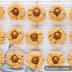 A wire rack filled with numerous Peanut Butter Blossom cookies, each featuring a classic Hershey's Kiss.
