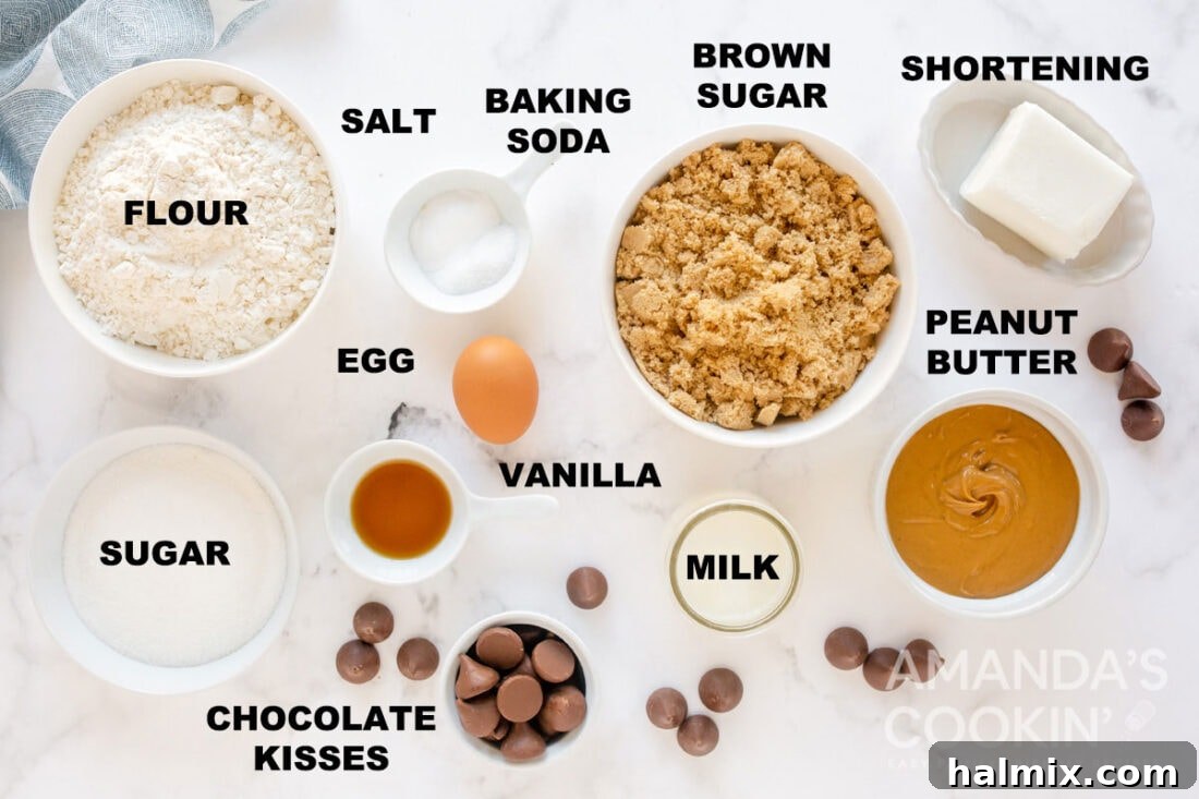 Collection of labeled baking ingredients, including flour, sugar, peanut butter, and shortening, neatly arranged for making cookies.