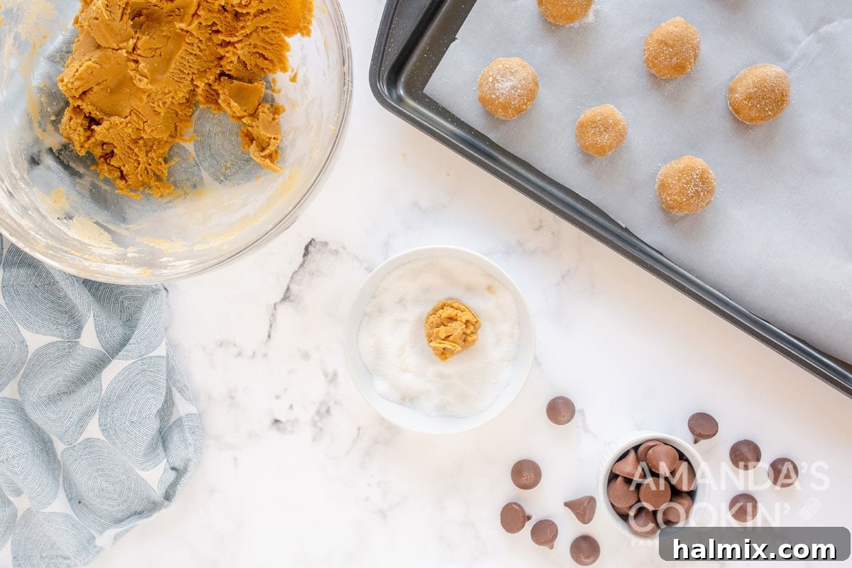 Close-up of small, perfectly rolled cookie dough balls coated in granulated sugar on a parchment-lined baking sheet.