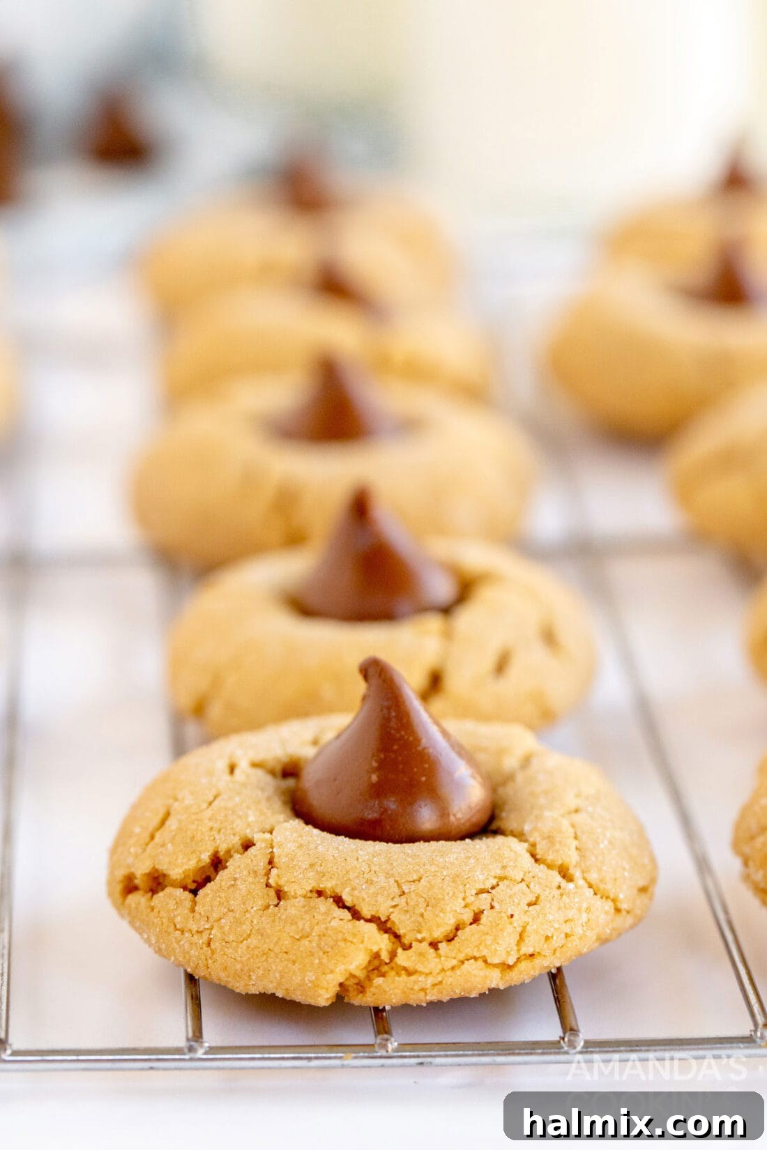 Freshly baked Peanut Butter Blossom cookies with melted Hershey's Kisses cooling on a wire rack.