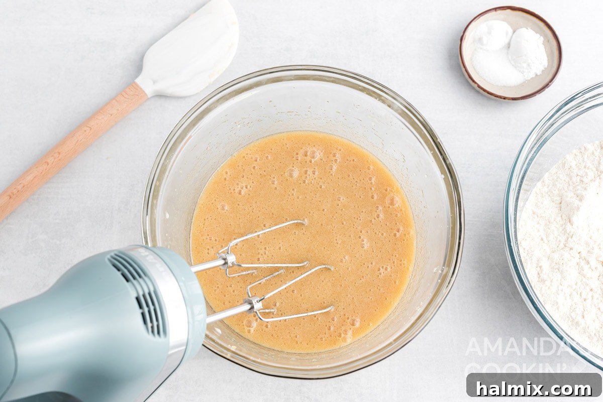 The smoothly combined wet cookie mixture in a bowl.