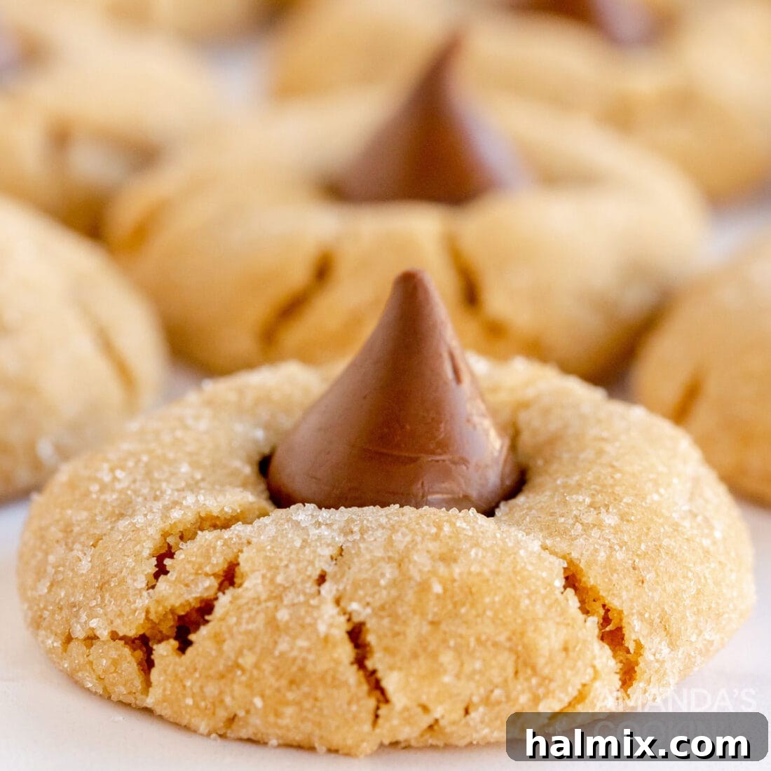 A delightful arrangement of classic peanut butter blossoms, each perfectly topped with a chocolate kiss, presented on a plate ideal for holiday festivities.