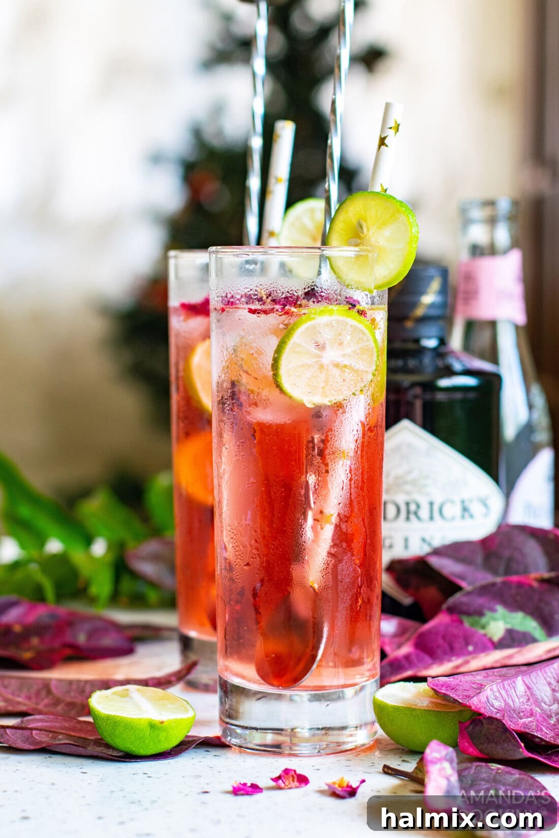 Blush Gin Tonic 3 Two elegant Pink Gin & Tonics served in glasses, garnished with fresh lime wedges, highlighting their captivating color.