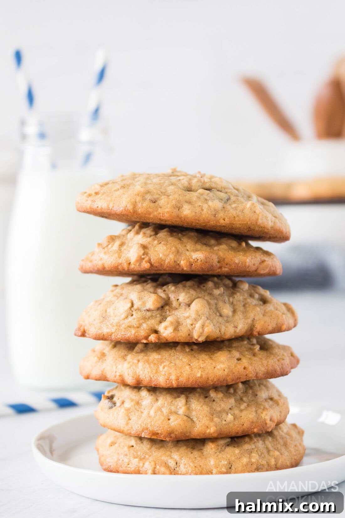 Chewy Oat Goodness 2 stack of Oatmeal Cookies