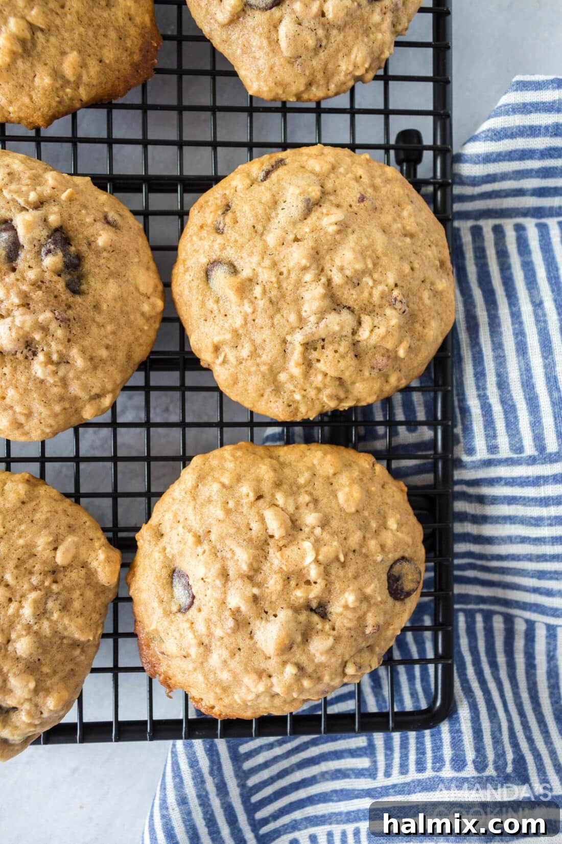 Chewy Oat Goodness 3 Oatmeal Cookies on cooling rack