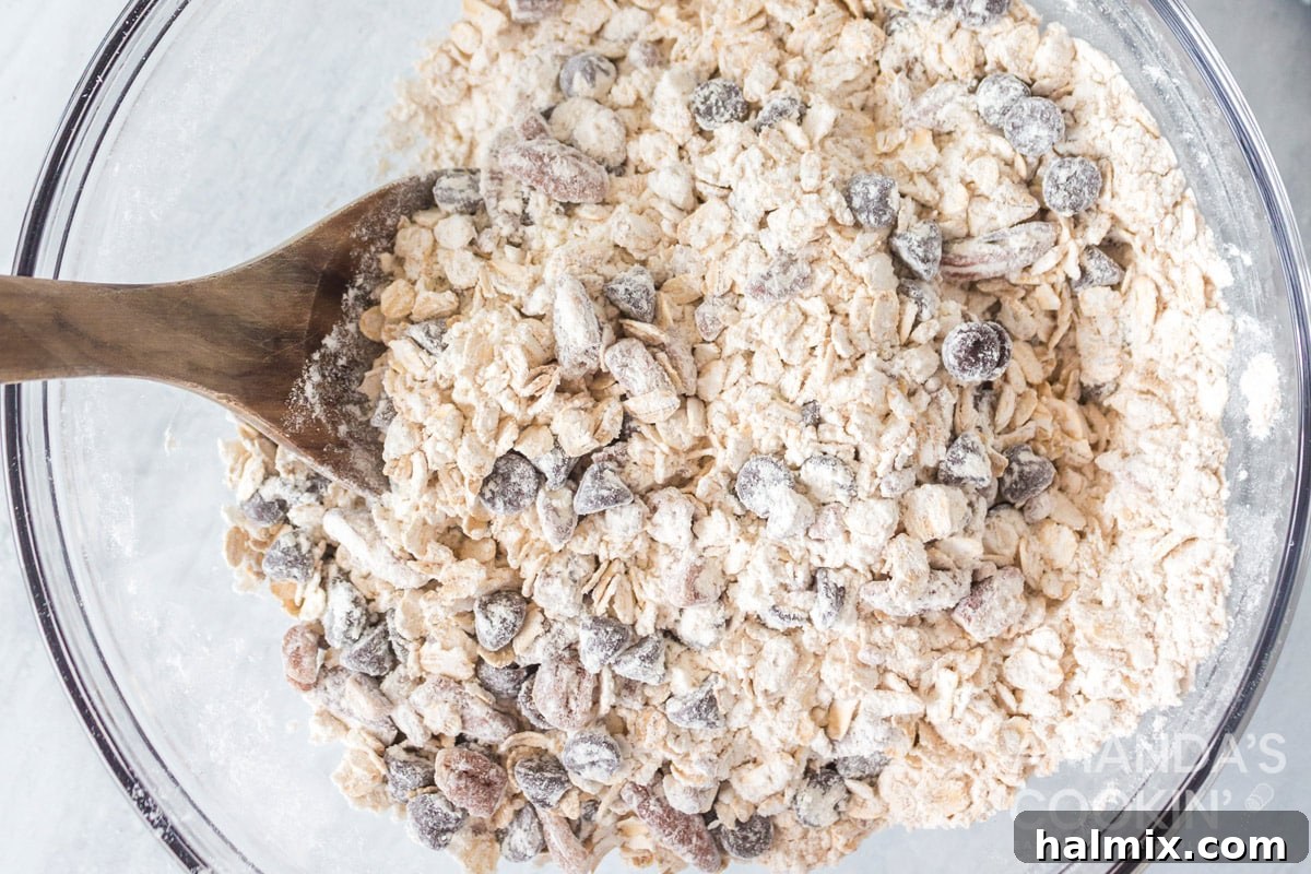 Chewy Oat Goodness 6 mixing dry ingredients