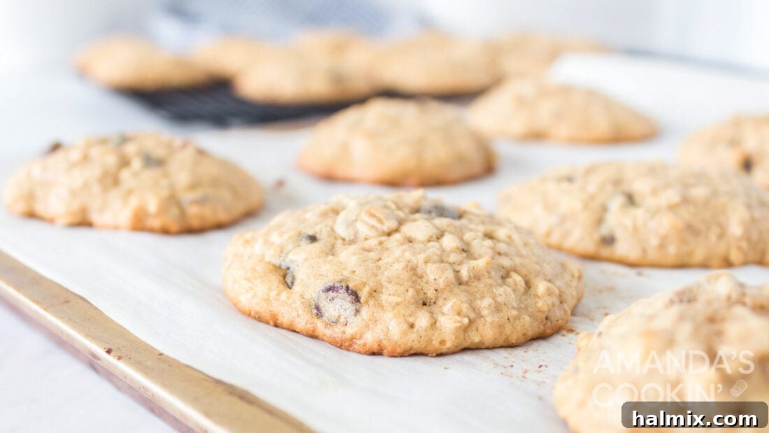 Chewy Oat Goodness 9 Oatmeal Cookies on parchment