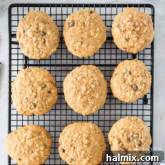 Chewy Oat Goodness 10 oatmeal cookies on a wire rack
