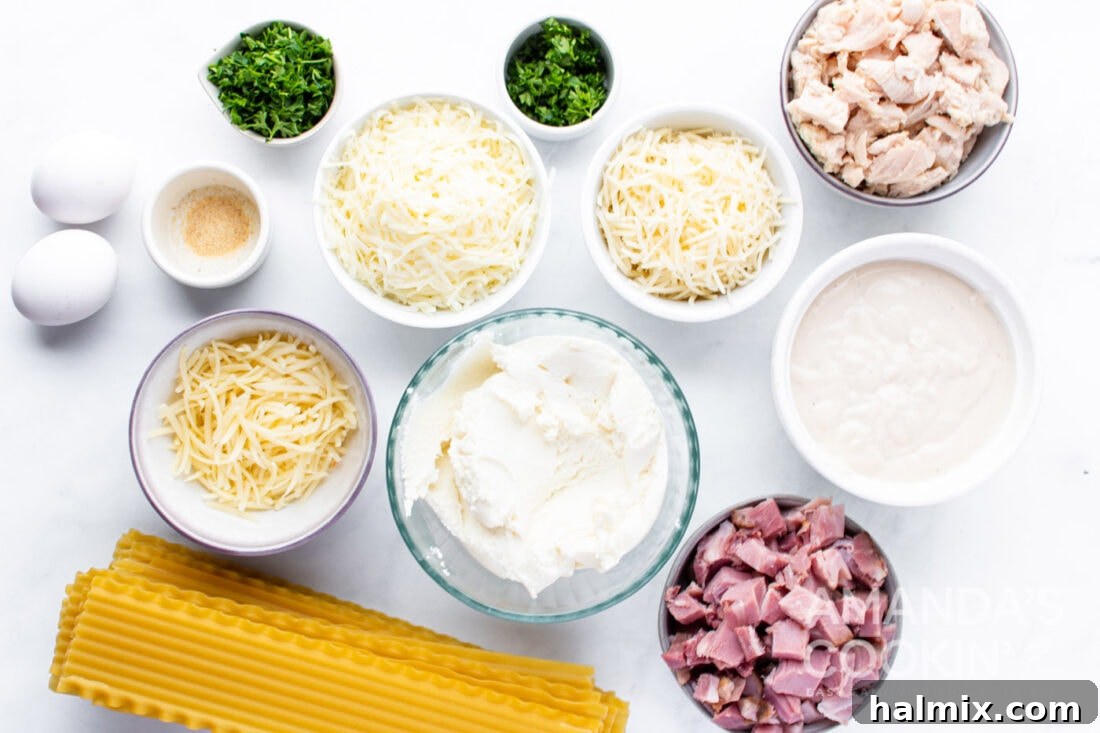 LABELED INGREDIENTS FOR CHICKEN CORDON BLEU LASAGNA