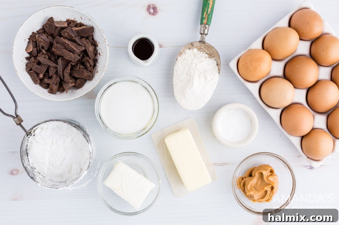 A selection of high-quality ingredients laid out for making delicious fudge brownies.