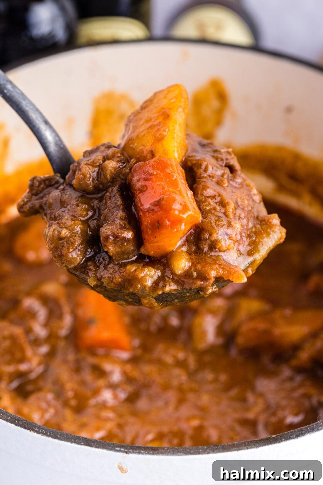 ladle full of irish stew