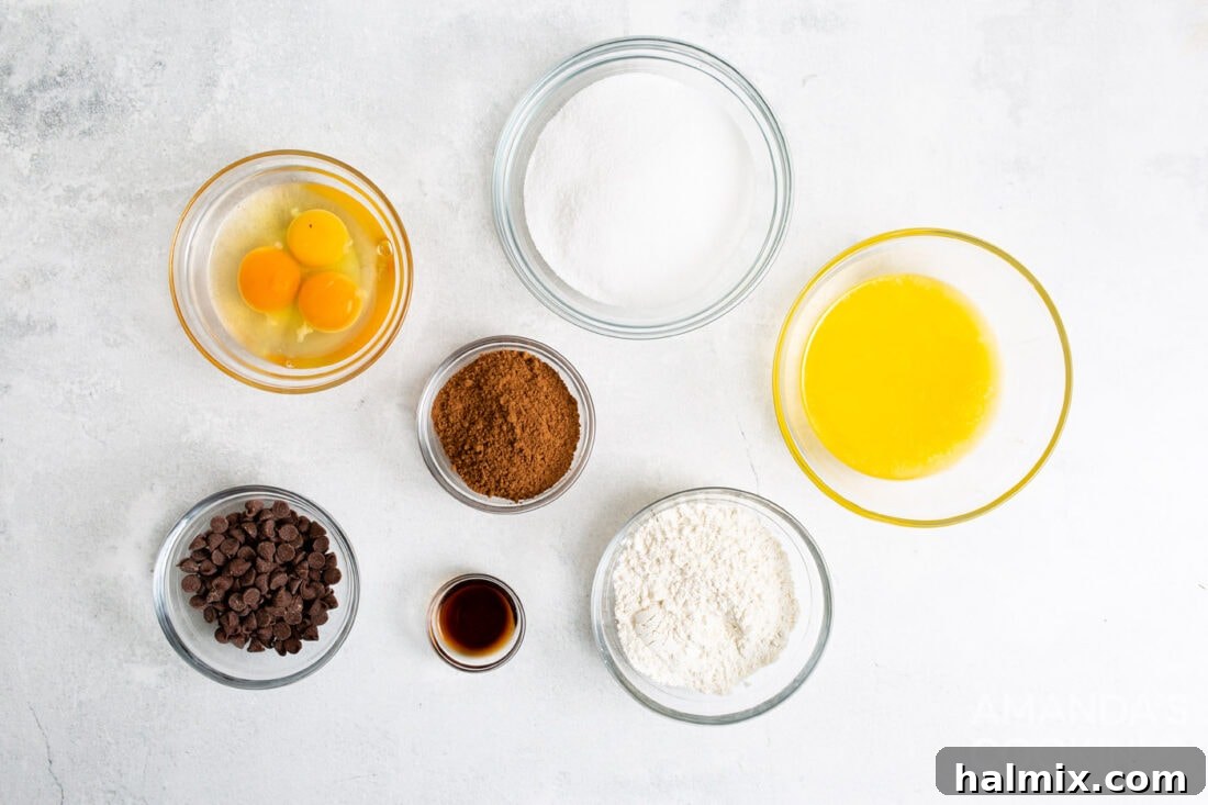 A collection of fresh ingredients laid out, including butter, chocolate chips, eggs, cocoa powder, sugar, vanilla extract, and flour, all essential for making rich air fryer brownies.