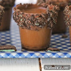 A single chocolate liqueur shot glass, perfectly garnished, highlighting the cocktail.