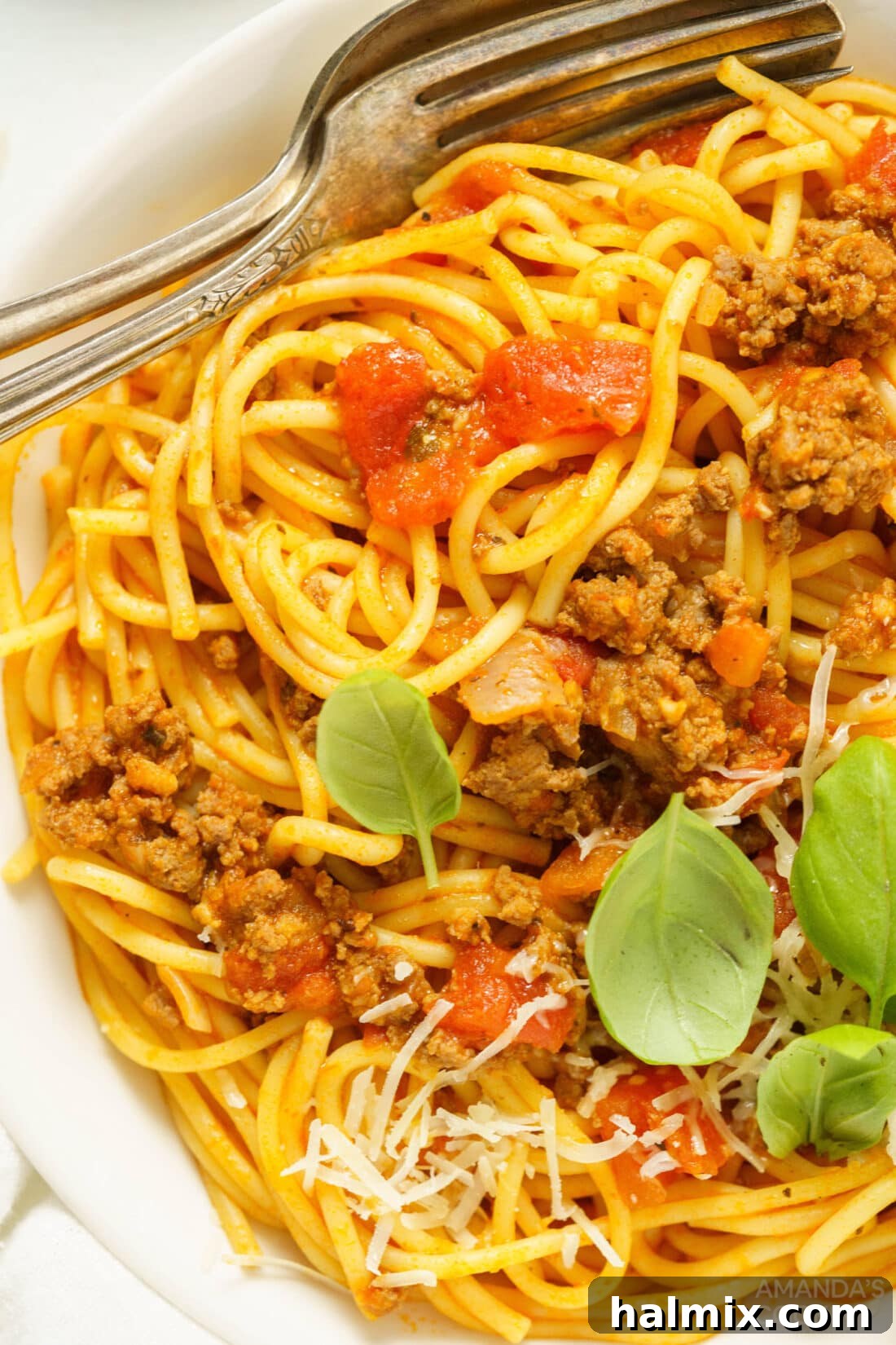Effortless Instant Pot Spaghetti with Rich Meat Sauce 3 Instant Pot Spaghetti and Meat Sauce served in a rustic bowl, topped with fresh basil